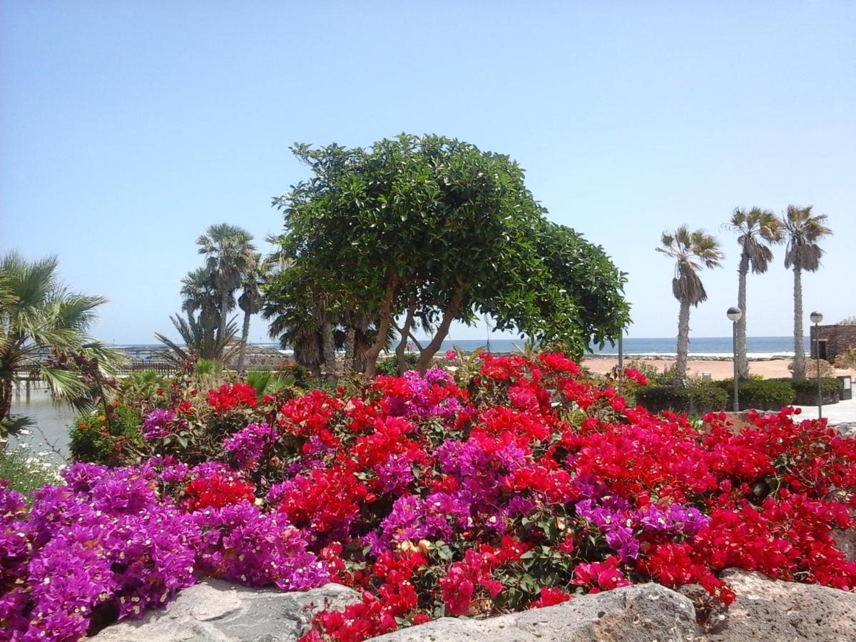 Sol Y Luz Daire Caleta De Fuste Dış mekan fotoğraf
